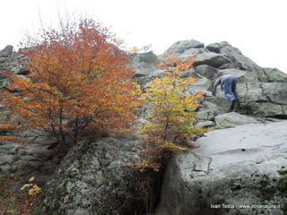 qua Rocca19-11-2017 15-02-30